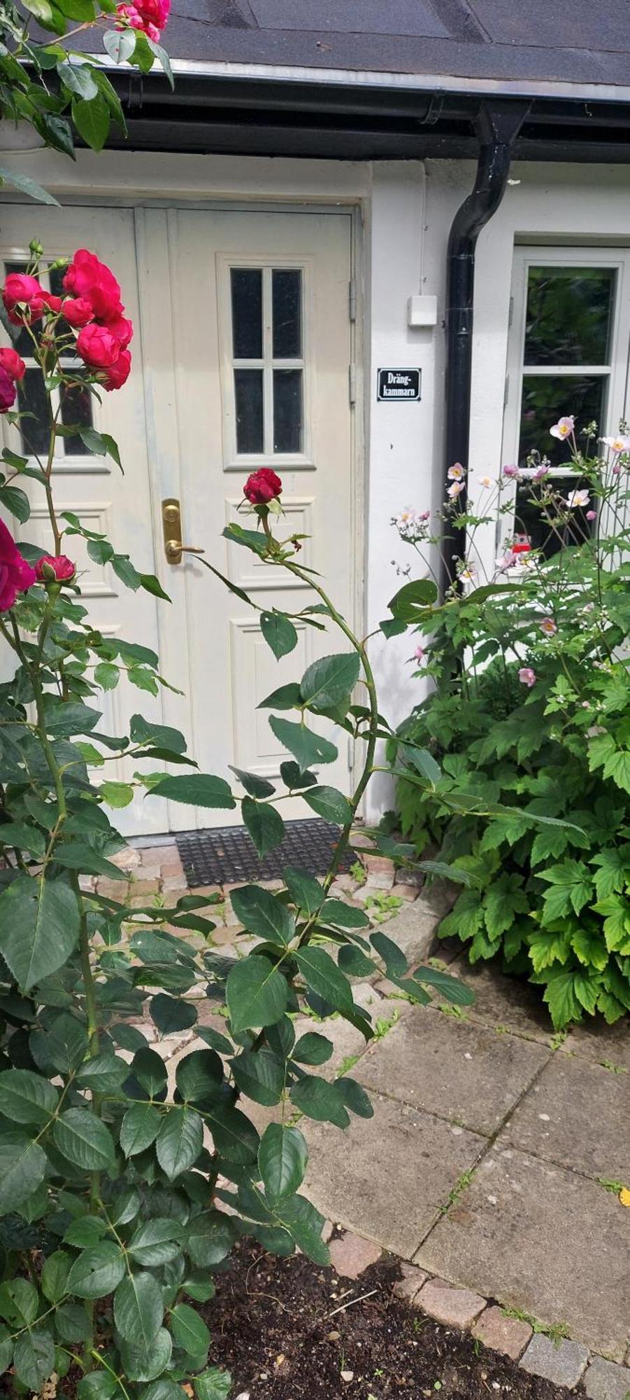 Bjerred B&B Bjärred Exterior foto