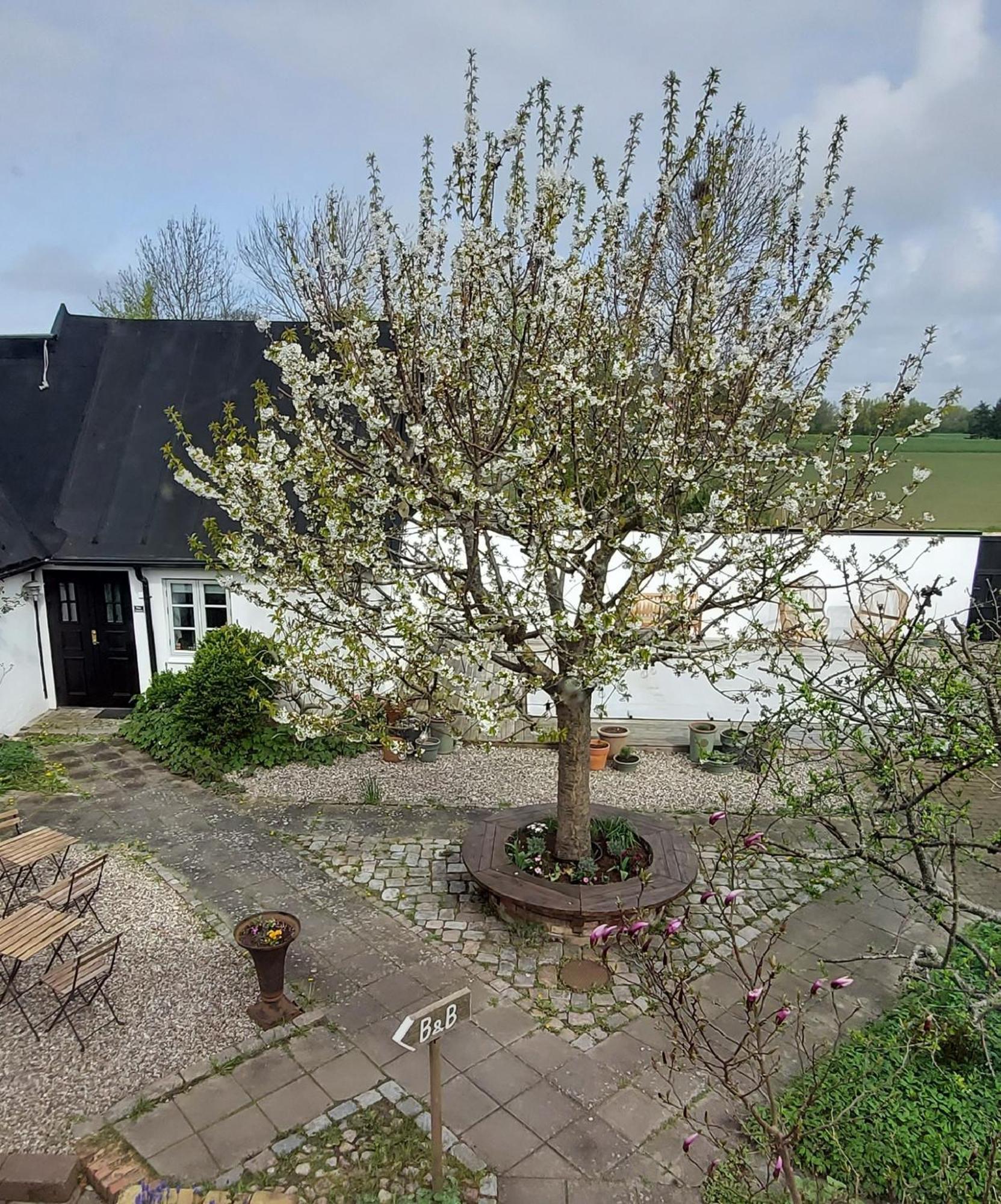Bjerred B&B Bjärred Exterior foto